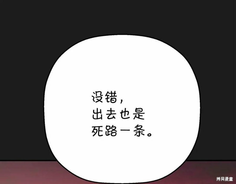 106.jpg