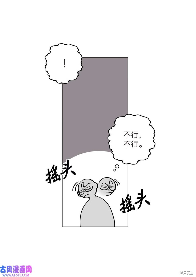 81.jpg