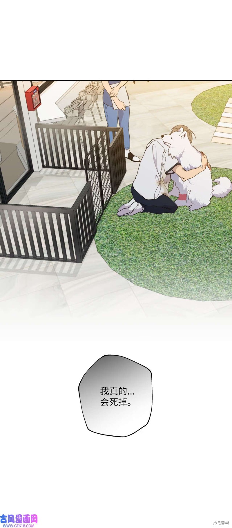 21.jpg