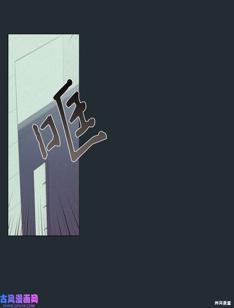 102.jpg