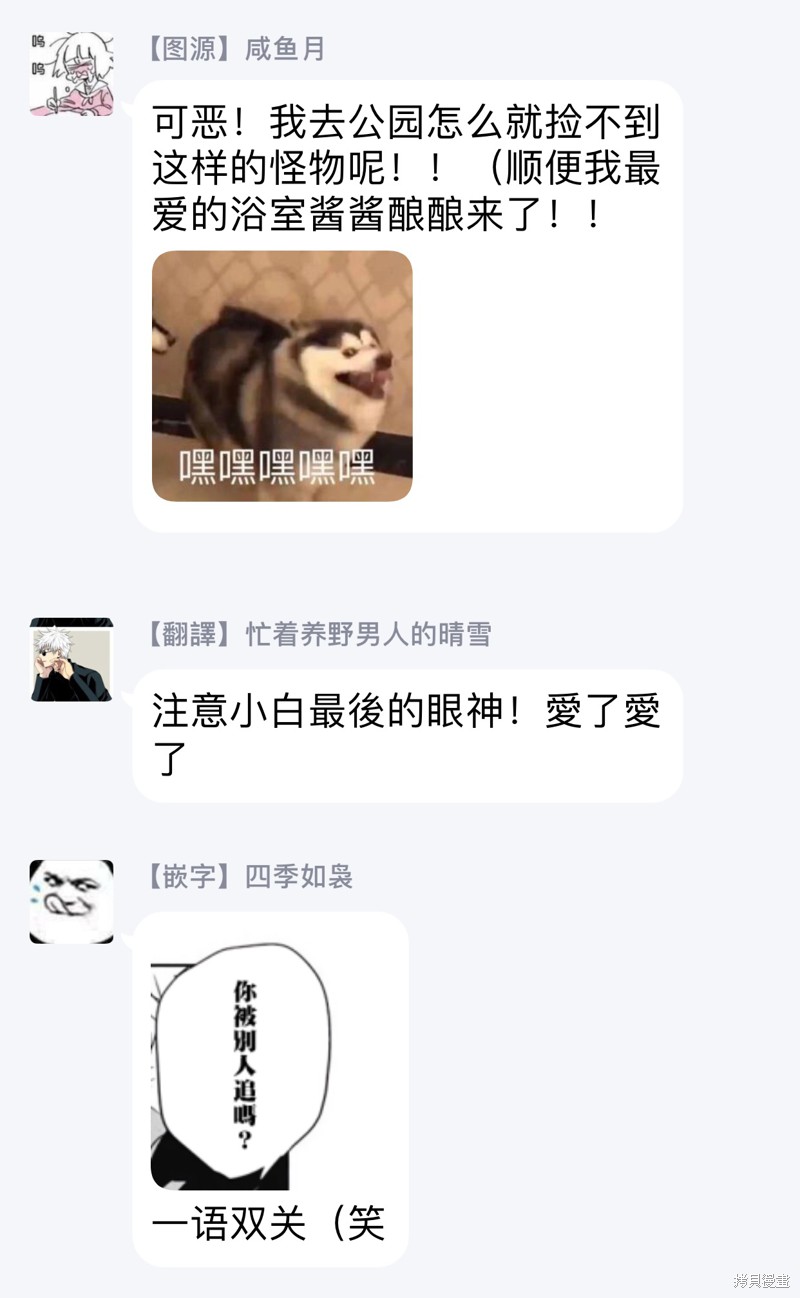 29.jpg