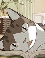 咱们乃猫是也